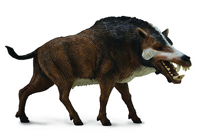 collecta daeodon