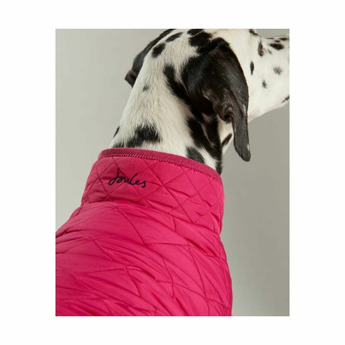 joules dog clothes