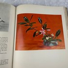 Foto 19 di 23