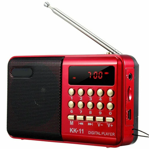 Rechargeable Mini Digital FM Radio Bluetooth MP3 Player USB TF SD Speaker 18650