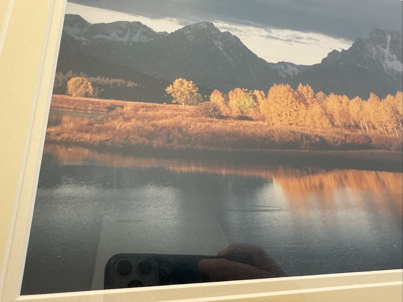 Picture 4 of 8