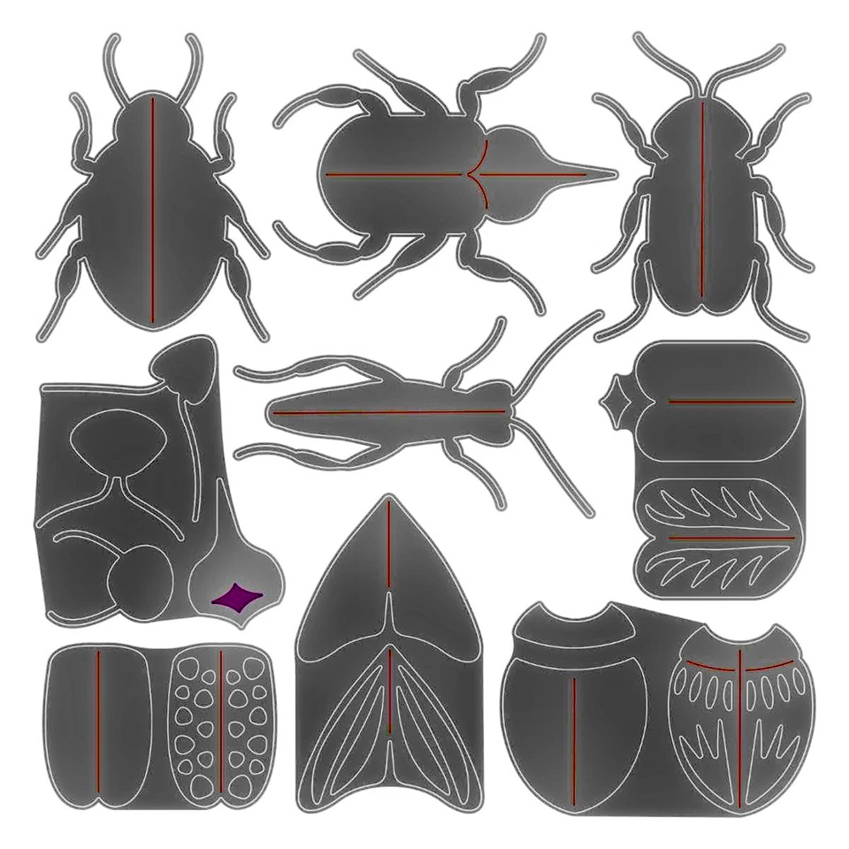 New Retired Sizzix Thinlits Patterned Bugs 9pc #665956 Retail $20.99 J. Ogborn - Image 3 of 4