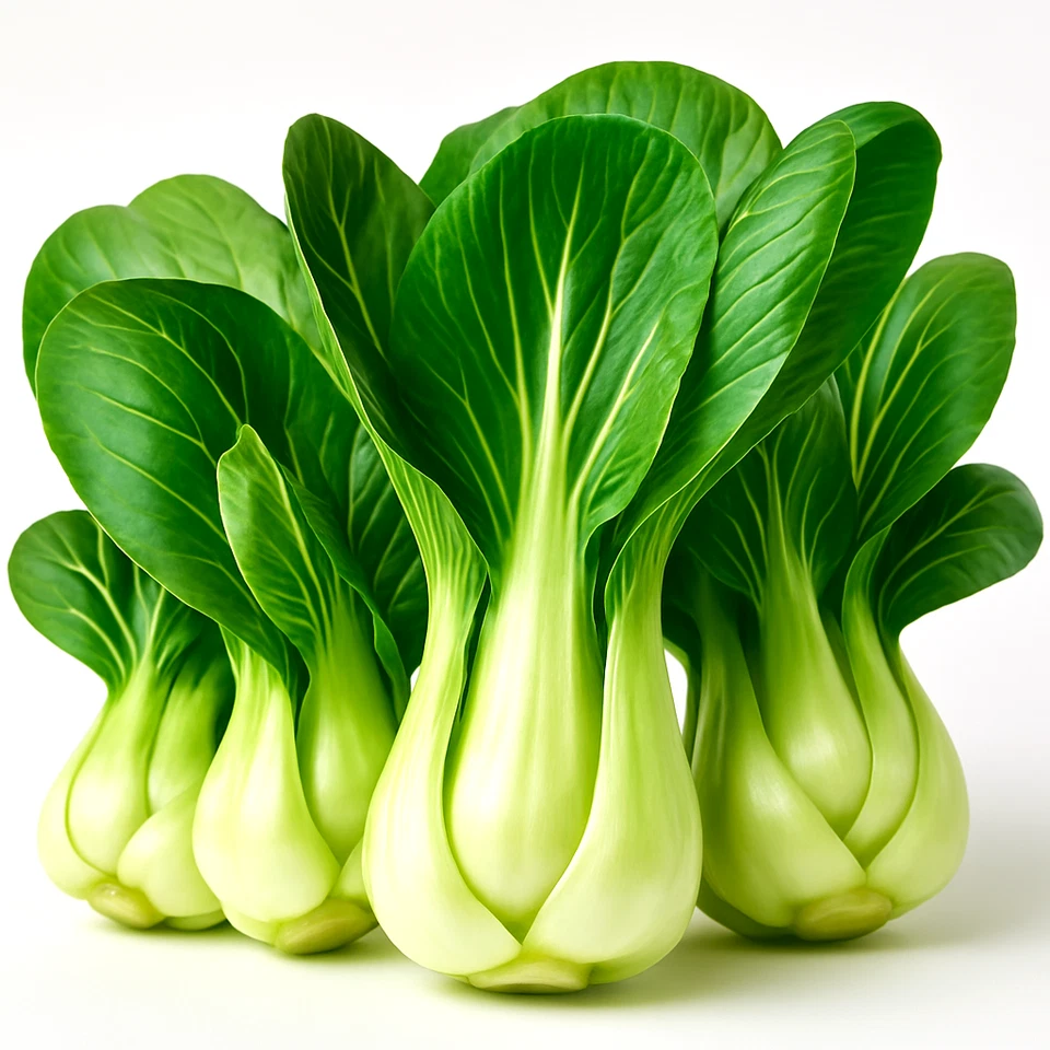 1200+ PAK CHOI BOK CHOY SEEDS 🥬 HEIRLOOM | NON-GMO | FAST BABY LEAF | FREE SHIP - Image 3 of 4