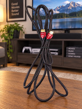 Audioquest Cinnamon 3M 10  HDMI High Speed w Ethernet Cable Audio Return 3D