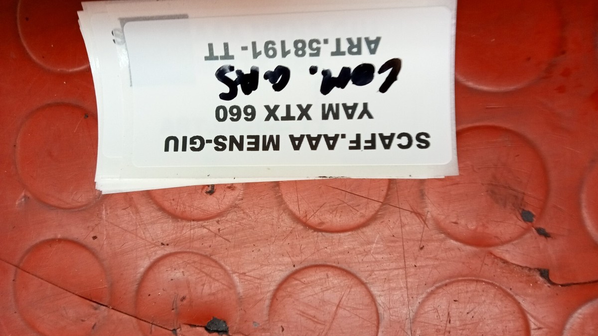 ⭐︎ How to Get Phoenix in Wizard West | TikTok