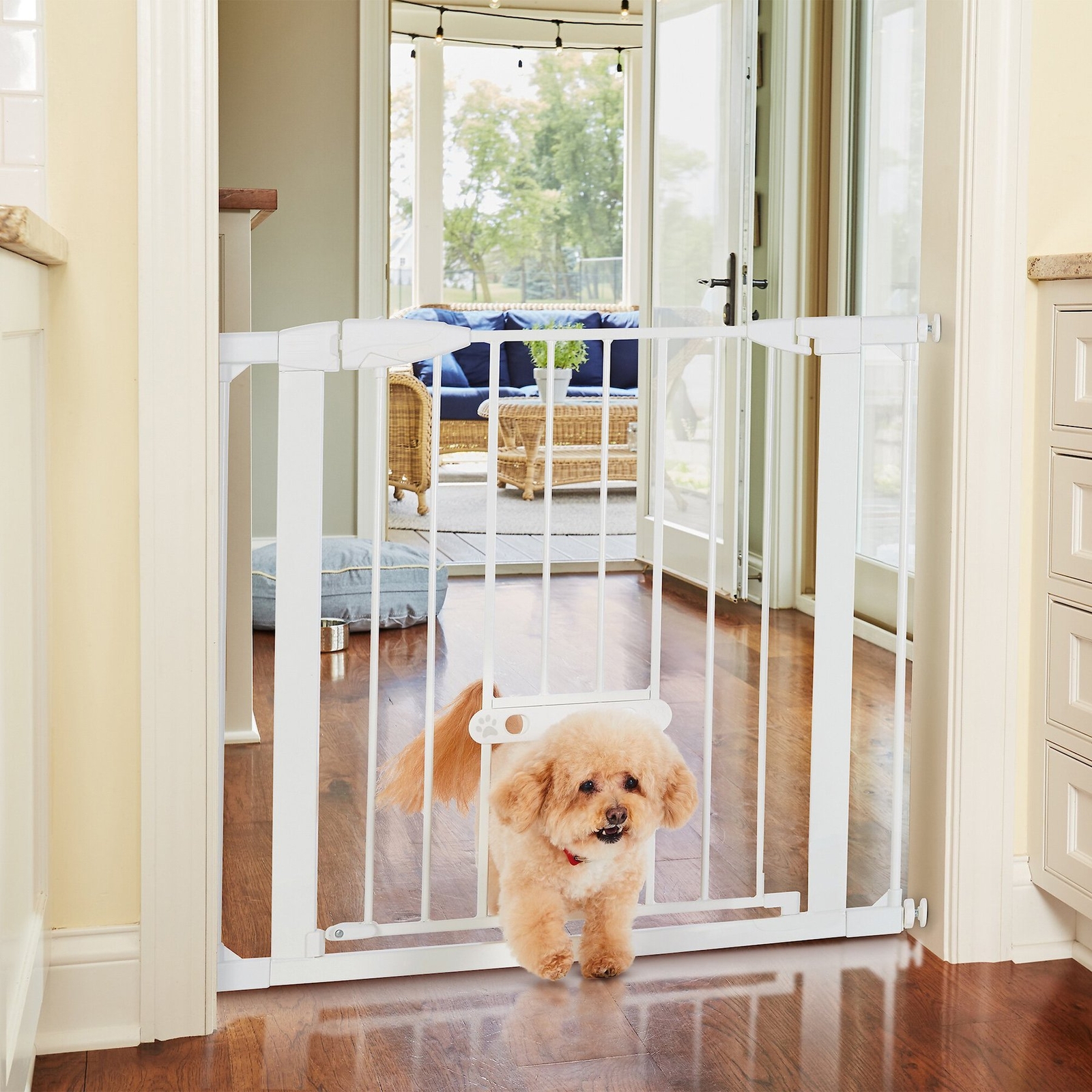 Wide Walk Through EasyPass Pet Gate, 30