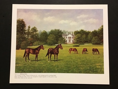 BOLD RULER ROUND TABLE CLAIRBORNE FARM Photo 14 x 12 Horse Racing | eBay