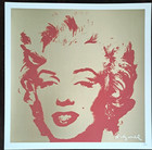 Andy Warhol  -  50x50cm -  Auflage Nr. 183/500 CMOA
