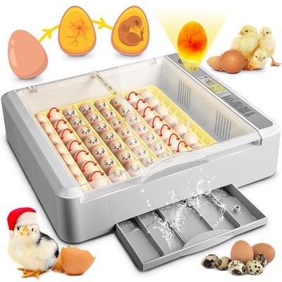 36-60 Egg Incubator with Automatic Egg Turning and Humidity Control, Chicken ...
