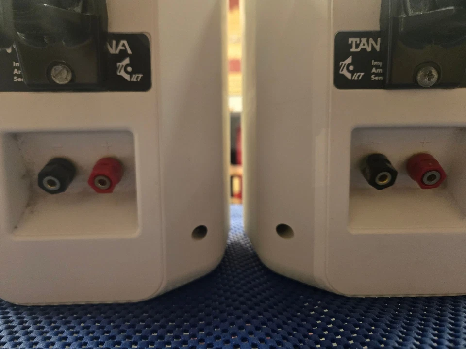 Altoparlanti Tannoy Arena 5" (coppia) - Immagine 4 di 4