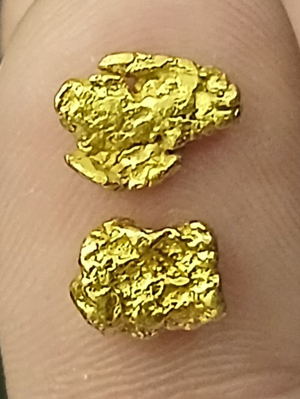 20K-22K YELLOW GOLD NUGGETS (2) CANADA GOLD (1.87 GRAMS)