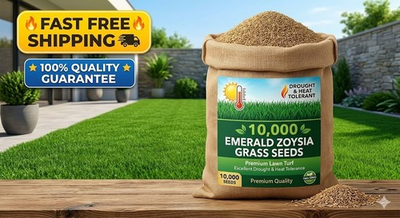 #ad #ad 10000 Emerald Zoysia Grass Seeds – Lawn Turf Drought amp; Heat Tolerant $32.90