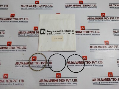 #ad INGERSOLL RAND 32194276 OEM Low Pressure Piston Ring Set $142.97