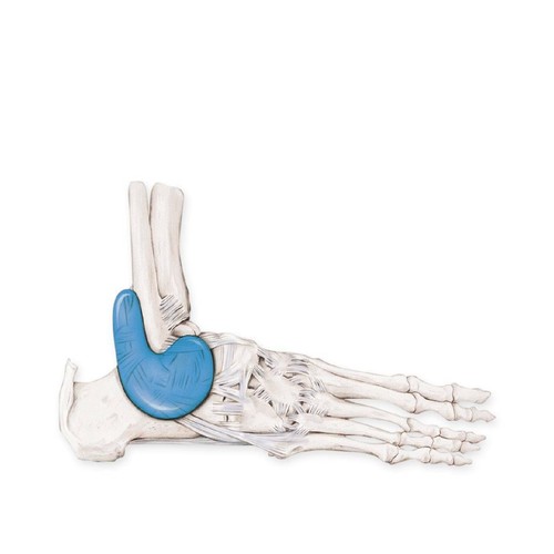 Bauerfeind Malleo Train 3 Ankle Stabilise Brace Support Talus Size 3 Right Achil - Picture 15 of 15