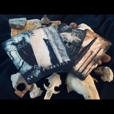 NEW Spirits & Shadows: An Oracle Deck by J. Edward & Heather Neill - FAST Ship