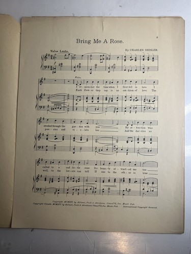 Vintage Sheet Music: Bring Me A Rose - Charles Shisler 1916 - Picture 3 of 10