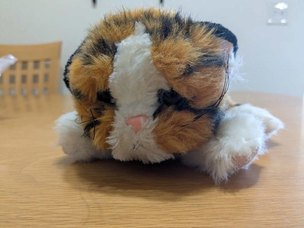 25+ Tyco Kitty Kittens for sale | Updated Oct 2026