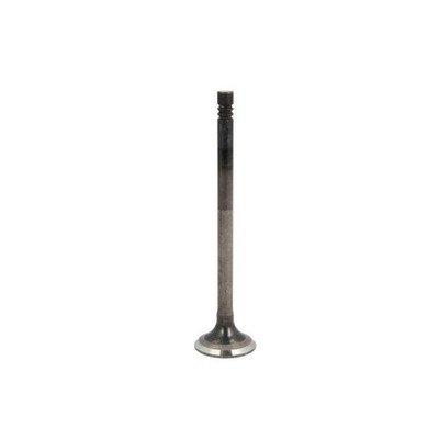   FRECCIA INTAKE VALVE 6928/BMNT NEU DE STOCK