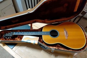オベイションＵＳ　ビンテージ スーパーリアルインテリア Ovation Guitar Collection