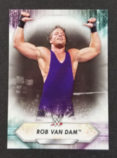 Rob Van Dam 2021 Topps WWE Wrestling Card #199 (NM)