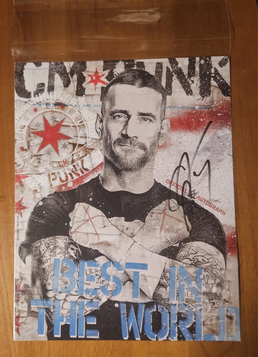CM Punk WWE Wrestling Original Autographed Items for sale | eBay