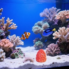 Shrimp Pot Escape Tunnel Aquarium Hideaway Cave Corner Hiding House Accessories