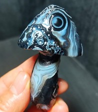 TOP 65.7G Natural Gobi agate eyes Agate/Mushroom Madagascar WYY3931