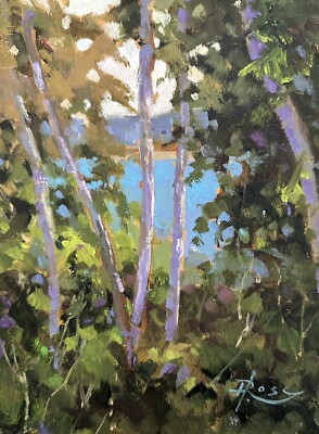 Cedemere Park View