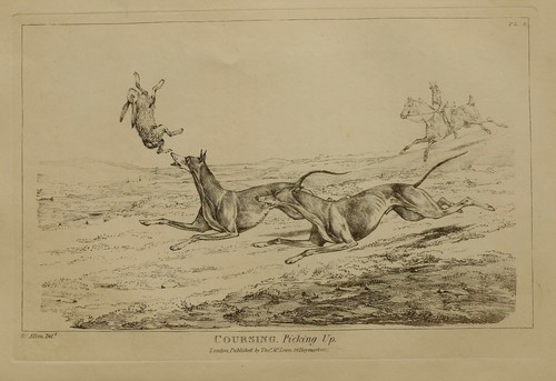 1825 HENRY ALKEN SPORTING PRINT ~ COURSING PICKING UP