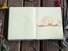 Snail Stencil - Art and Wall Stencil