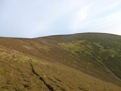 Photo A3 Broom Hill, Glenrath Sheep paths make it possible to contour ro c2014