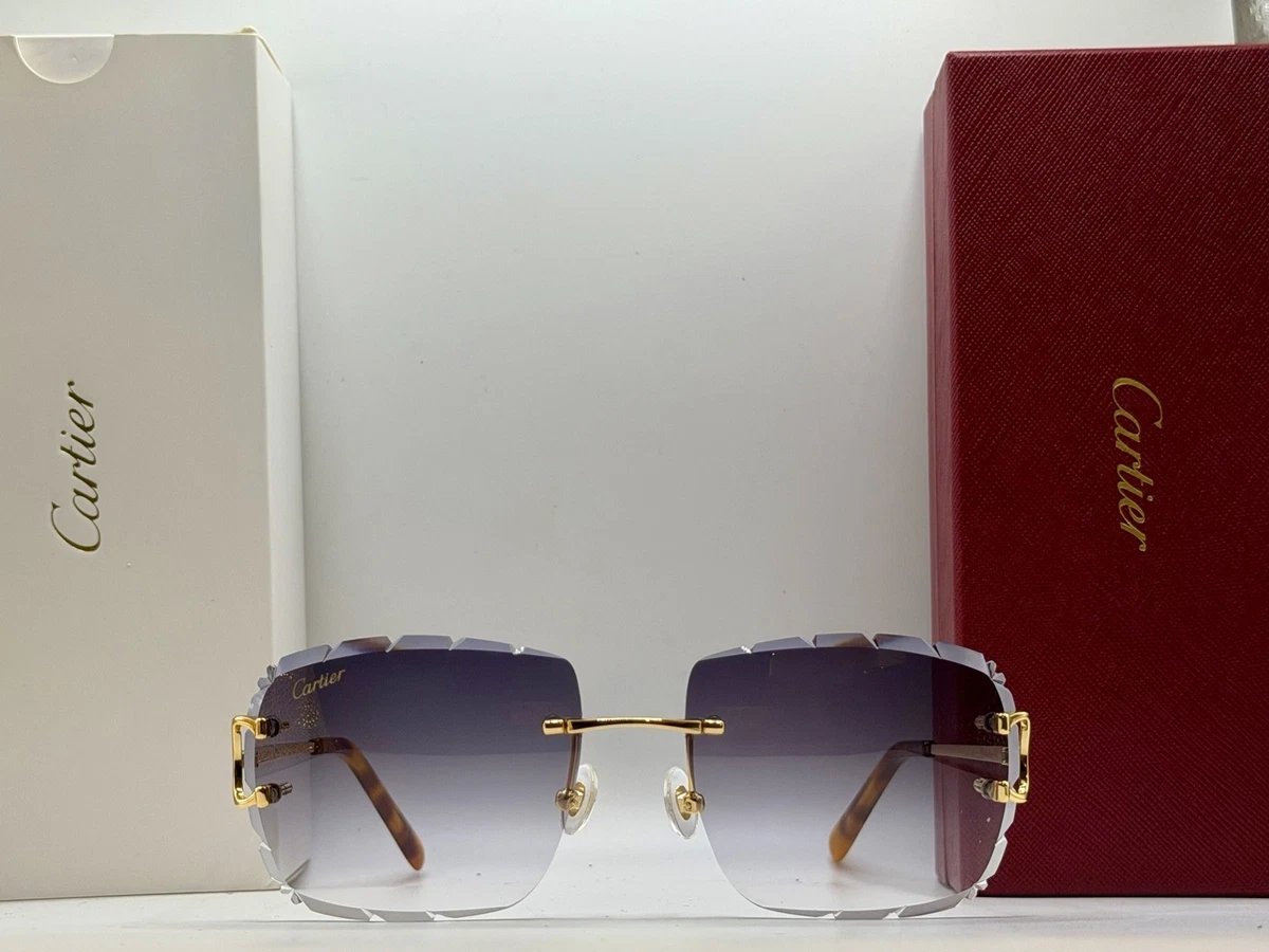 Cartier Gray Gray Sunglasses for Men for sale | eBay
