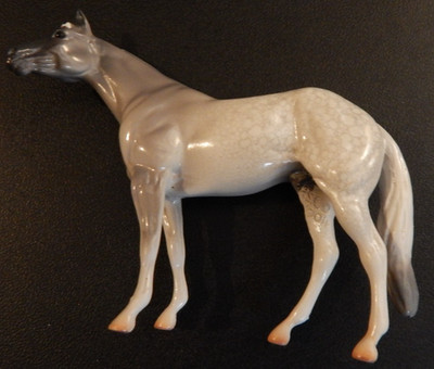 Peter Stone Chips  Appaloosa Grey/White Quarter Horse
