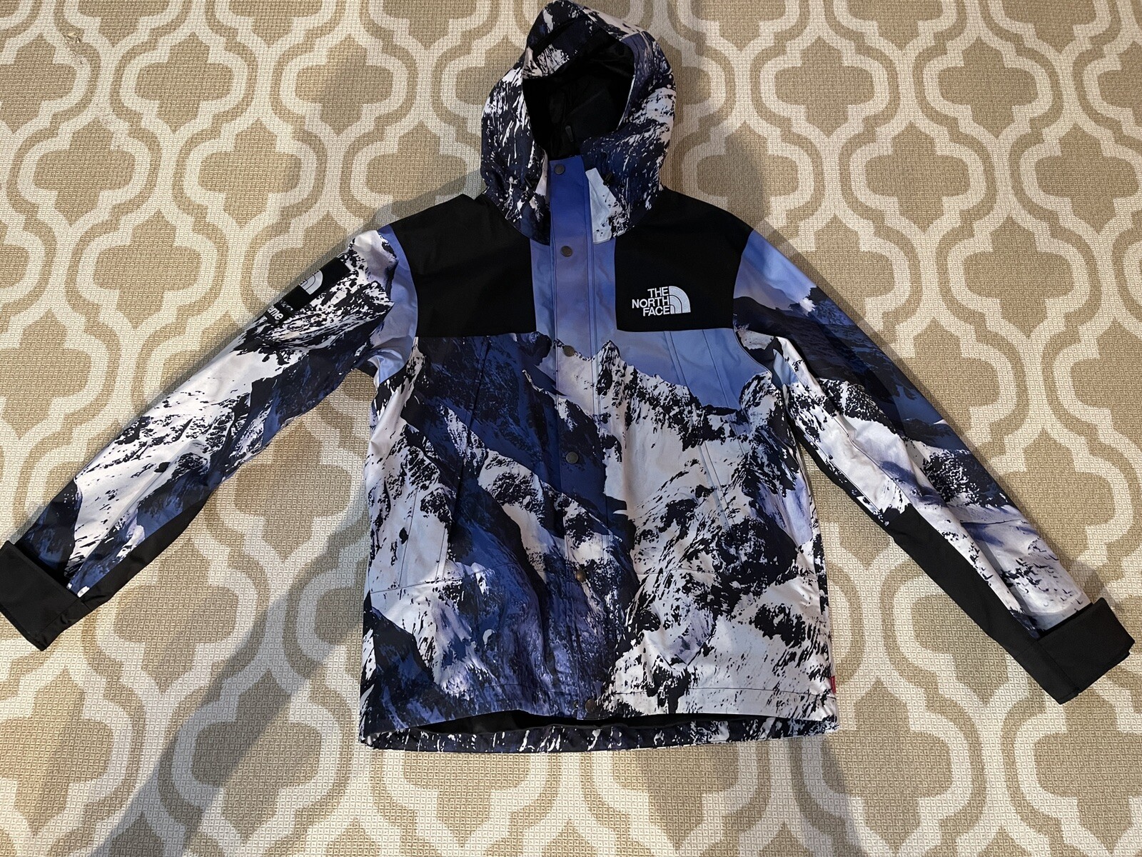 Supreme The North Face Mountain Parka 