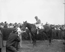 Bold Ruler Eddie Arcaro up stands in winners circle after capturin .. Old Photo