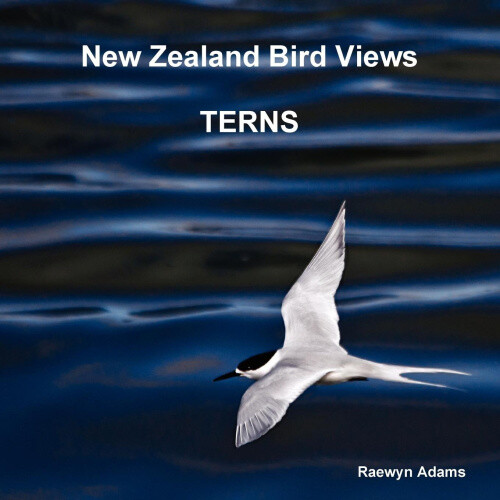Thumbnail - Zealand Bird Views : Terns By Adams, Raewyn
