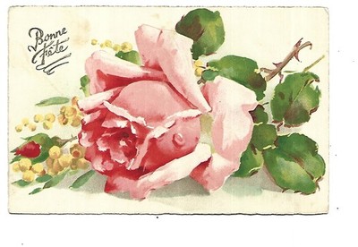 FANCY CARD - IROSE AND MIMOSA - BON FETE