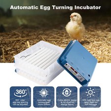 120 Eggs Incubator Temperature Control Automatic Digital Chicken Egg Hatcher US