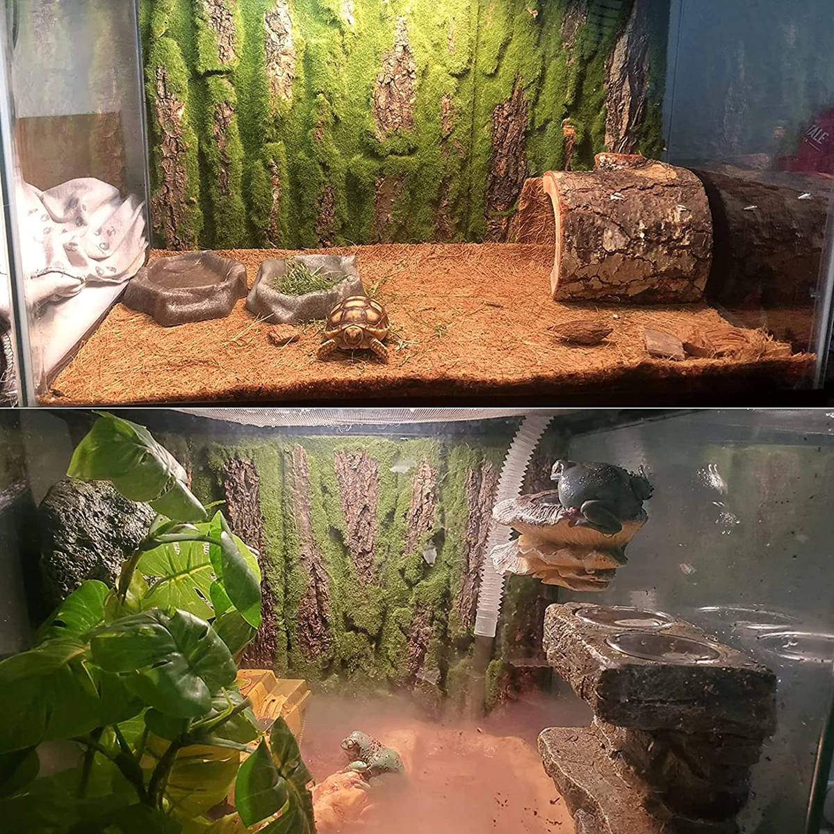 Share more than 136 bearded dragon tank decor ideas super hot