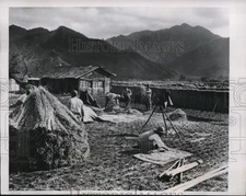 1946 Press Photo Family gathers for harvesting season of Japanese rice crops