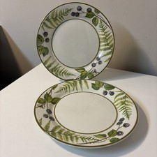 25.04.033 Villeroy & Boch Forsa V&B Limone 2x Fr&uuml;hst&uuml;cksteller Kuchenteller 21cm