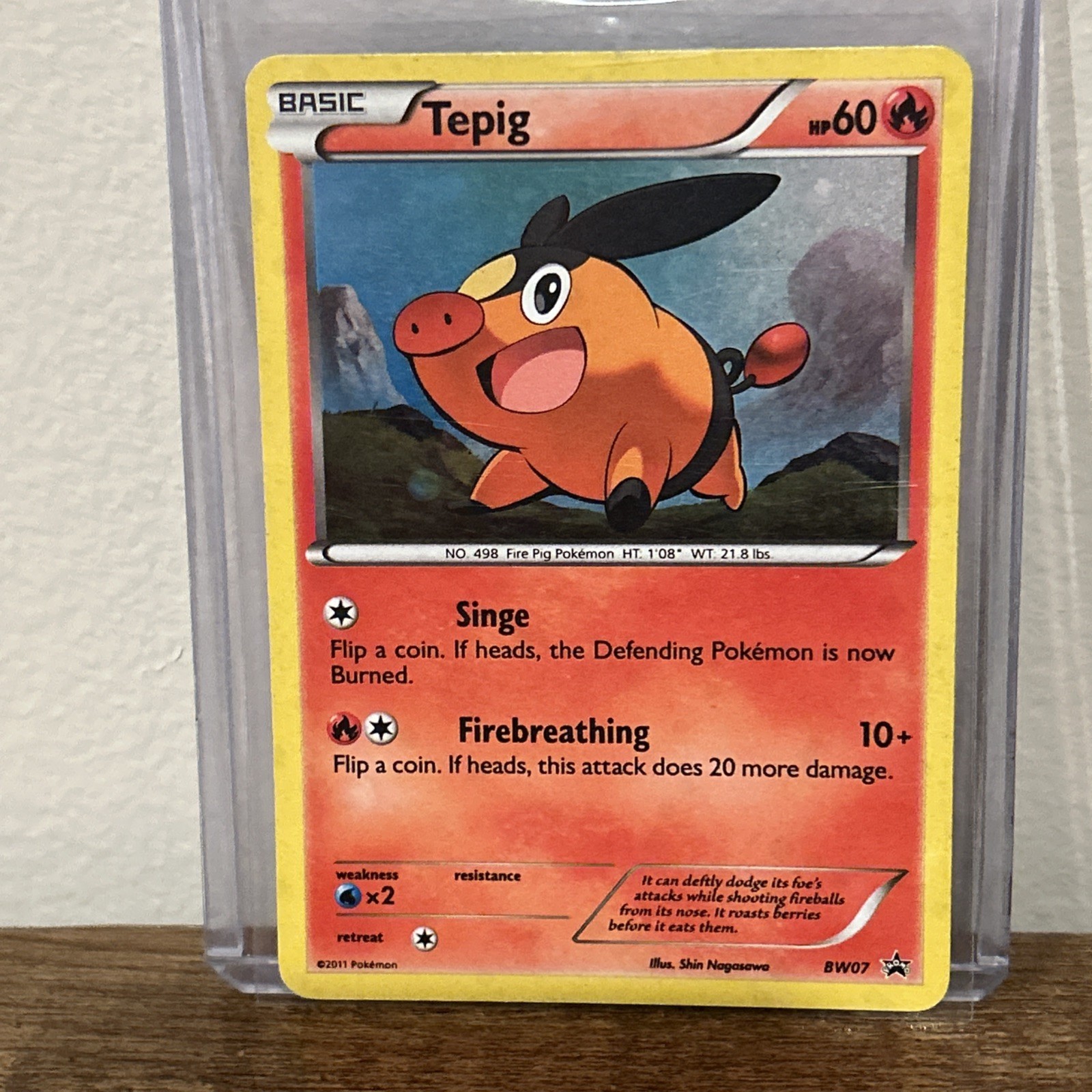 Pokémon TCG Tepig Bw07 Black Star Promo