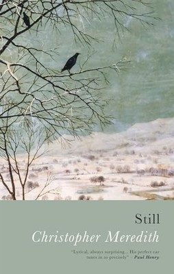 Still Christopher Meredith New Book 9781781726143