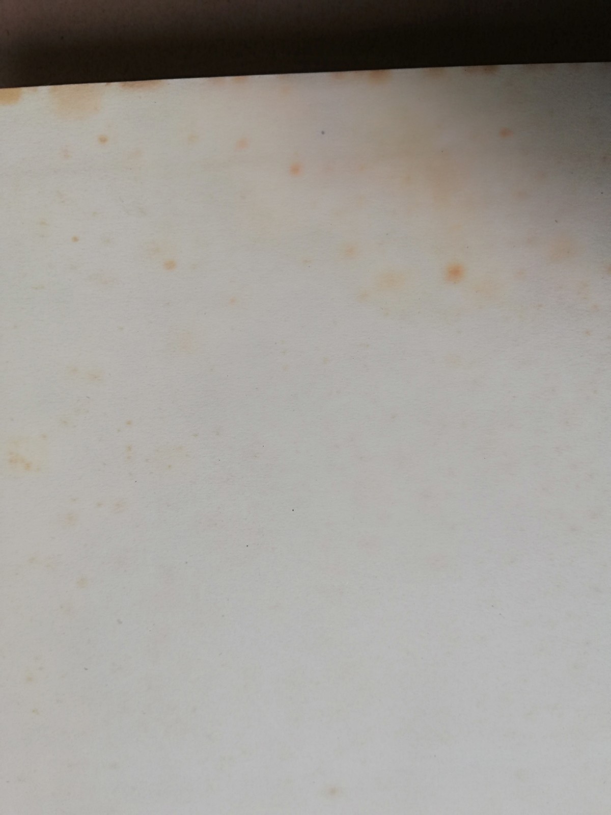 Picture 12 of 22