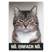 Print Plakat Katze Nö. Einfach nö. I DIN A4 I dv_625
