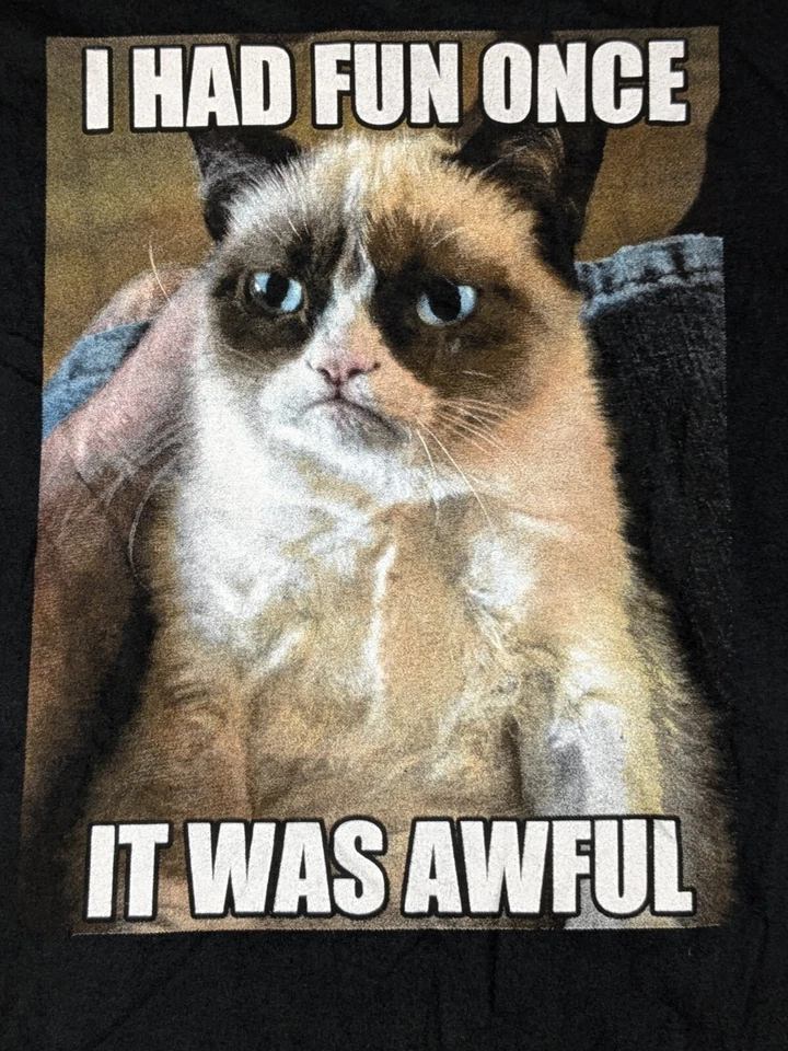 GRUMPY CAT - I HAD FUN ONCE IT WAS AWFUL Camiseta Gráfica Masculina GG Preta Algodão Excelente Estado Usado - Imagem 2 de 4