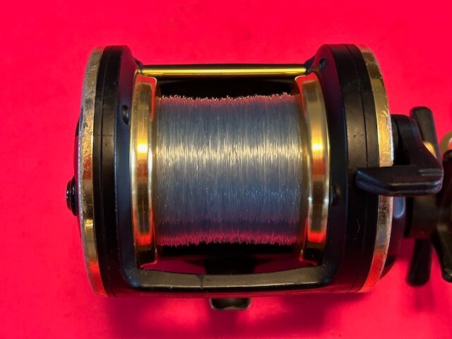 DAIWA SEALINE X SPEED SHAFT 40HV CONVETIONAL FISHING REEL | eBay