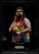2024 Panini Prizm Dude Love #119