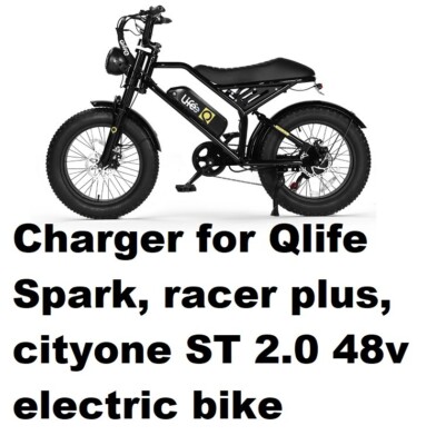  fast 3A battery Charger for Qlife spark racer plus cityone ST 2.0 48v EBIKE