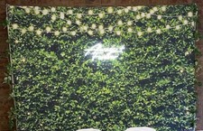 Greenery Photography Backdrop Faux String Light Print Fabric Sheet 94inx70in